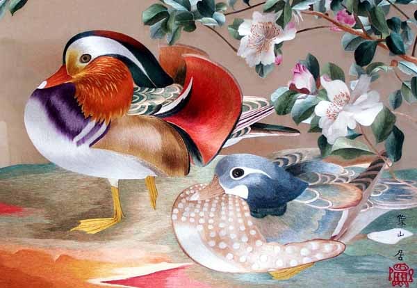 Mandarin Ducks Playing